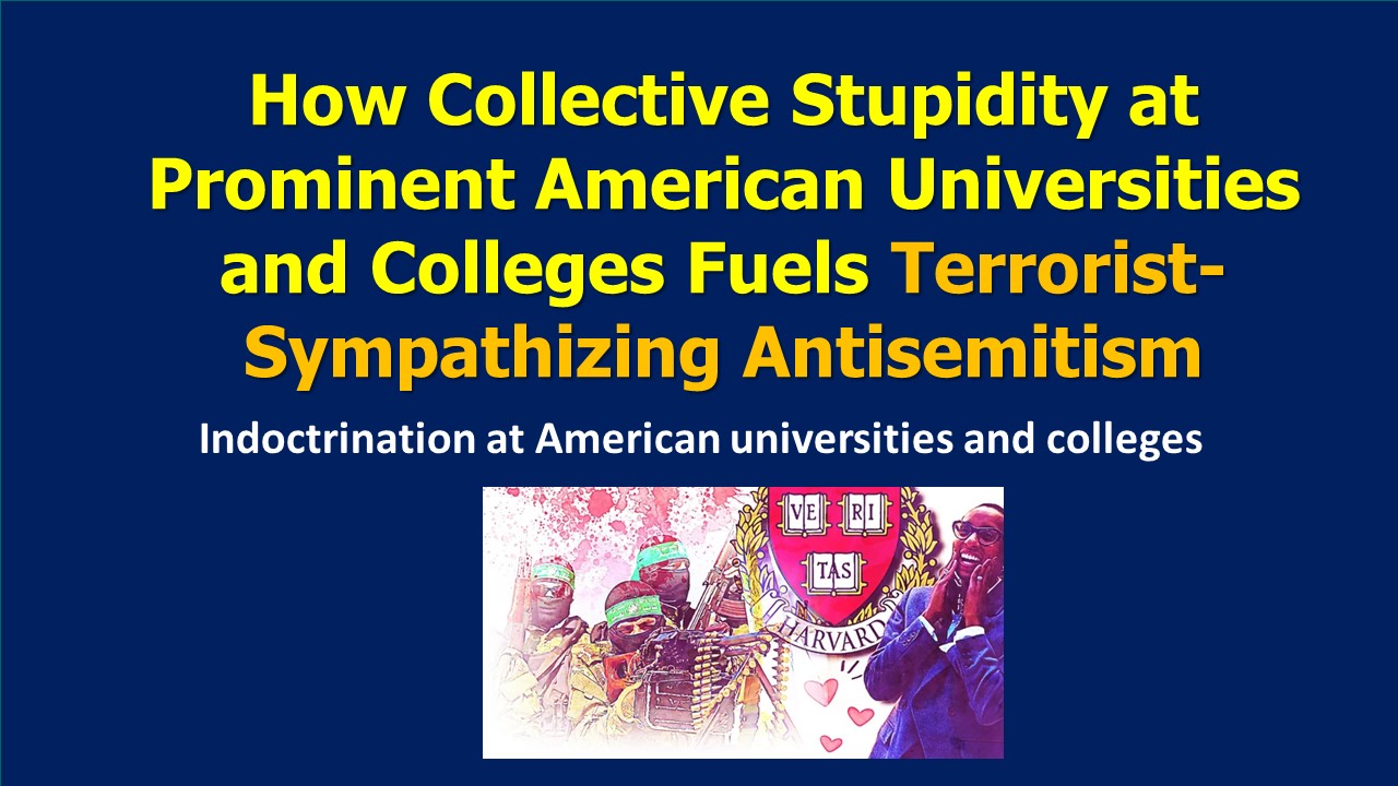 stupidity american universities